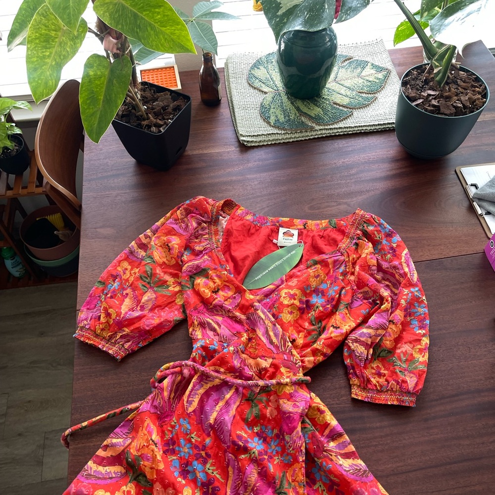 FARM Rio Red Spring Bananas Maxi Dress New with Tags